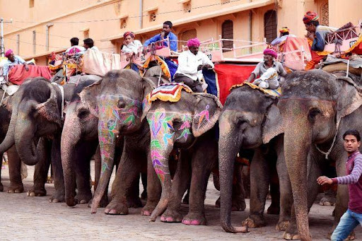 Queue of elephants at Amber Fort