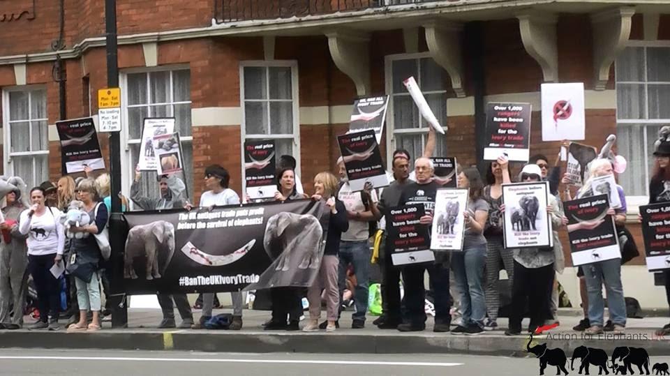 Demo at an antiques fair to stop ivory trade