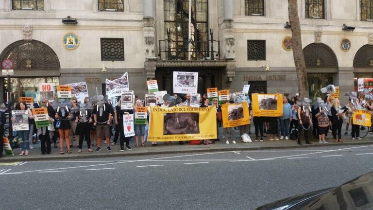 Demo by indian headquaters for temple elephants