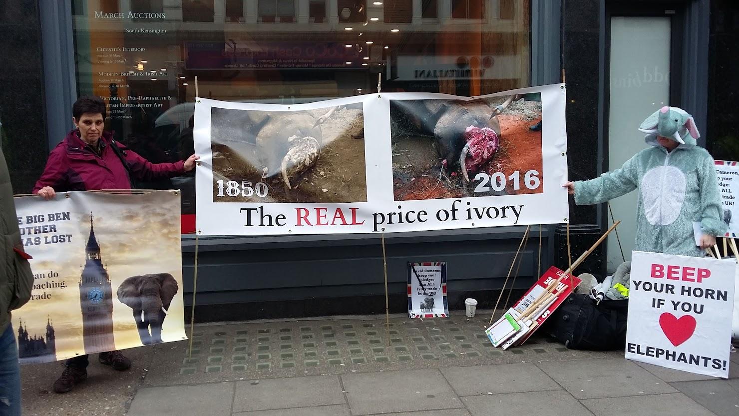 Ivory trade protest